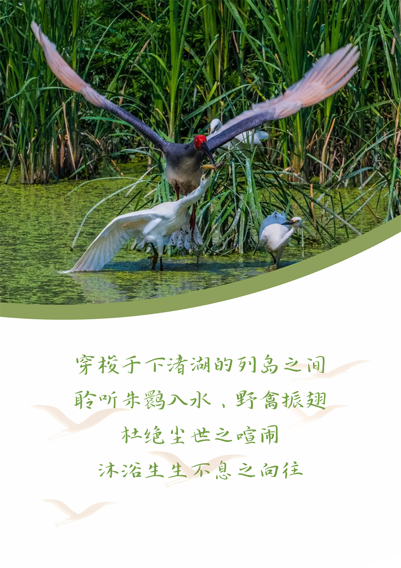 心心念廿 相伴PG模拟器 | 与德清相约 贺廿载诞辰